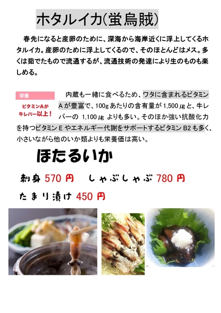 hotaruika2019.jpg